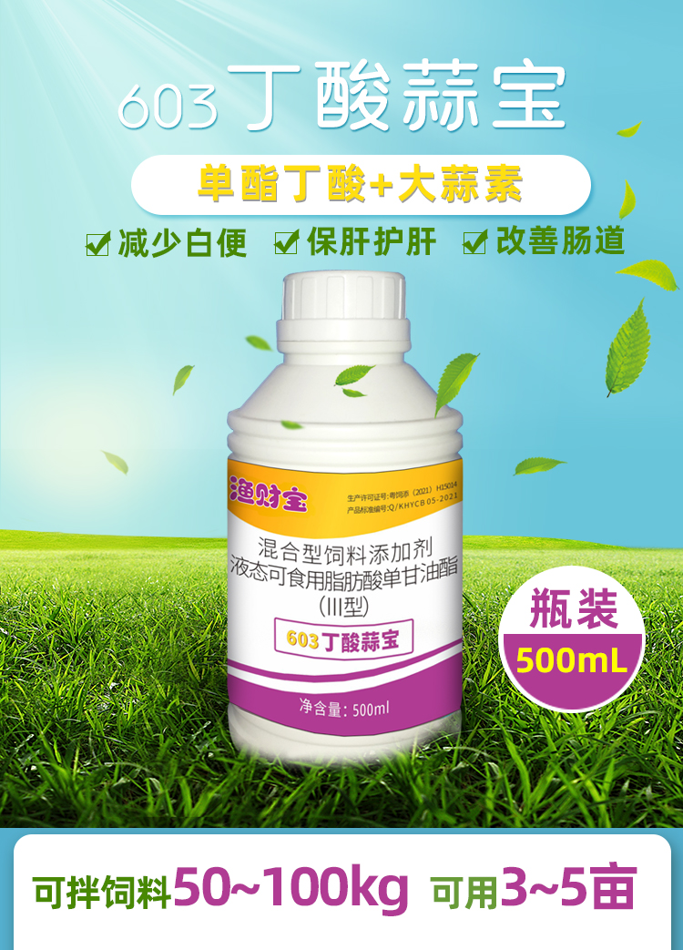 603�����ⱦ