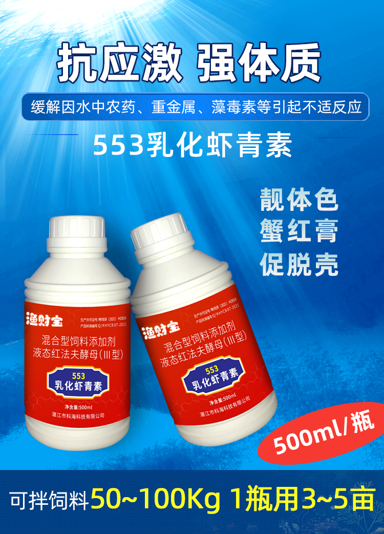 553�黯Ϻ����